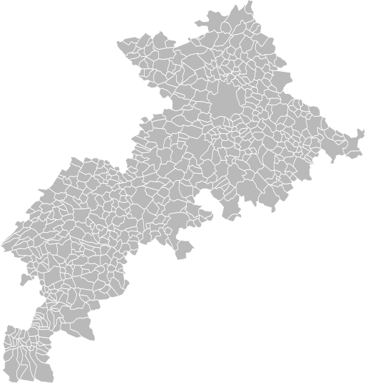 Blank_Map_of_Haute-Garonne_Department,_France,_with_Communes.svg